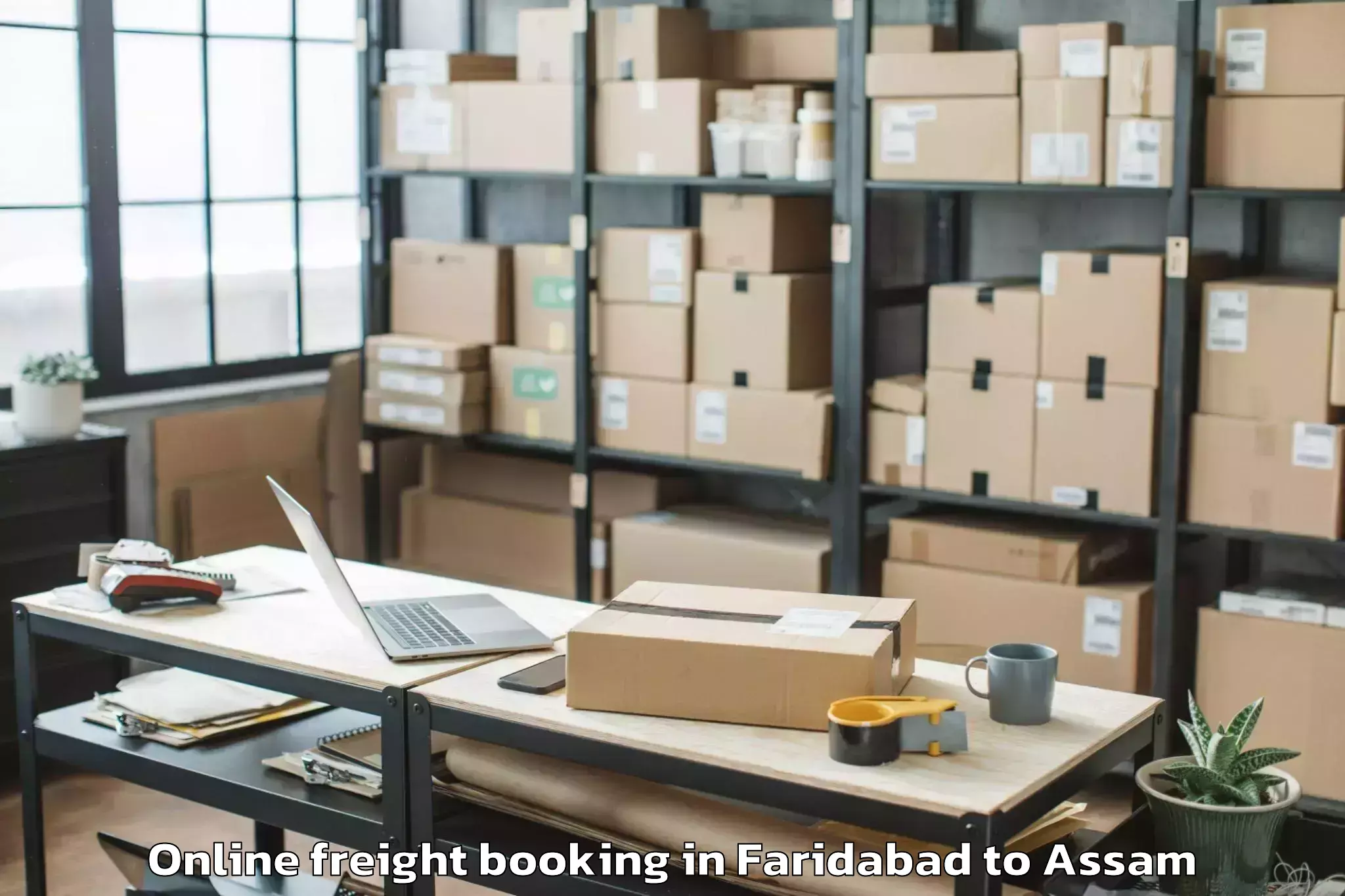 Professional Faridabad to Lumding Railway Colony Online Freight Booking